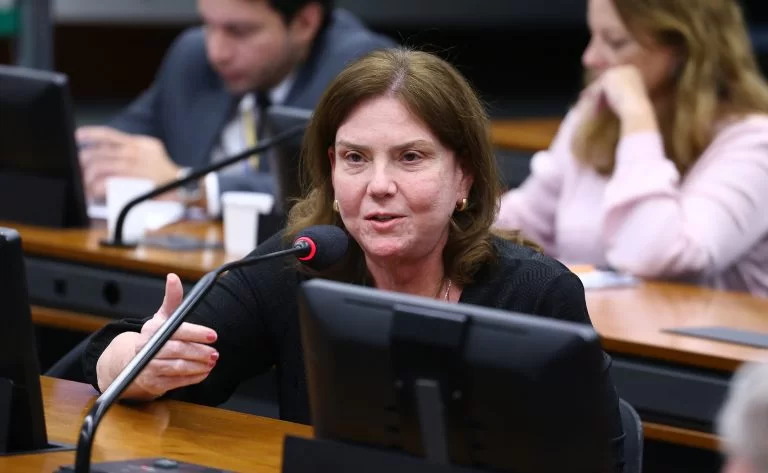 Efeito Ciro Gomes: Fernanda Pessoa sondada para vice; Ivo Gomes descartado